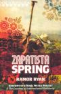 Zapatista Spring: Anatomy of a Rebel Water Project & The Lessons of International Solidarity