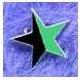 Green & Black Enamel Star Badge